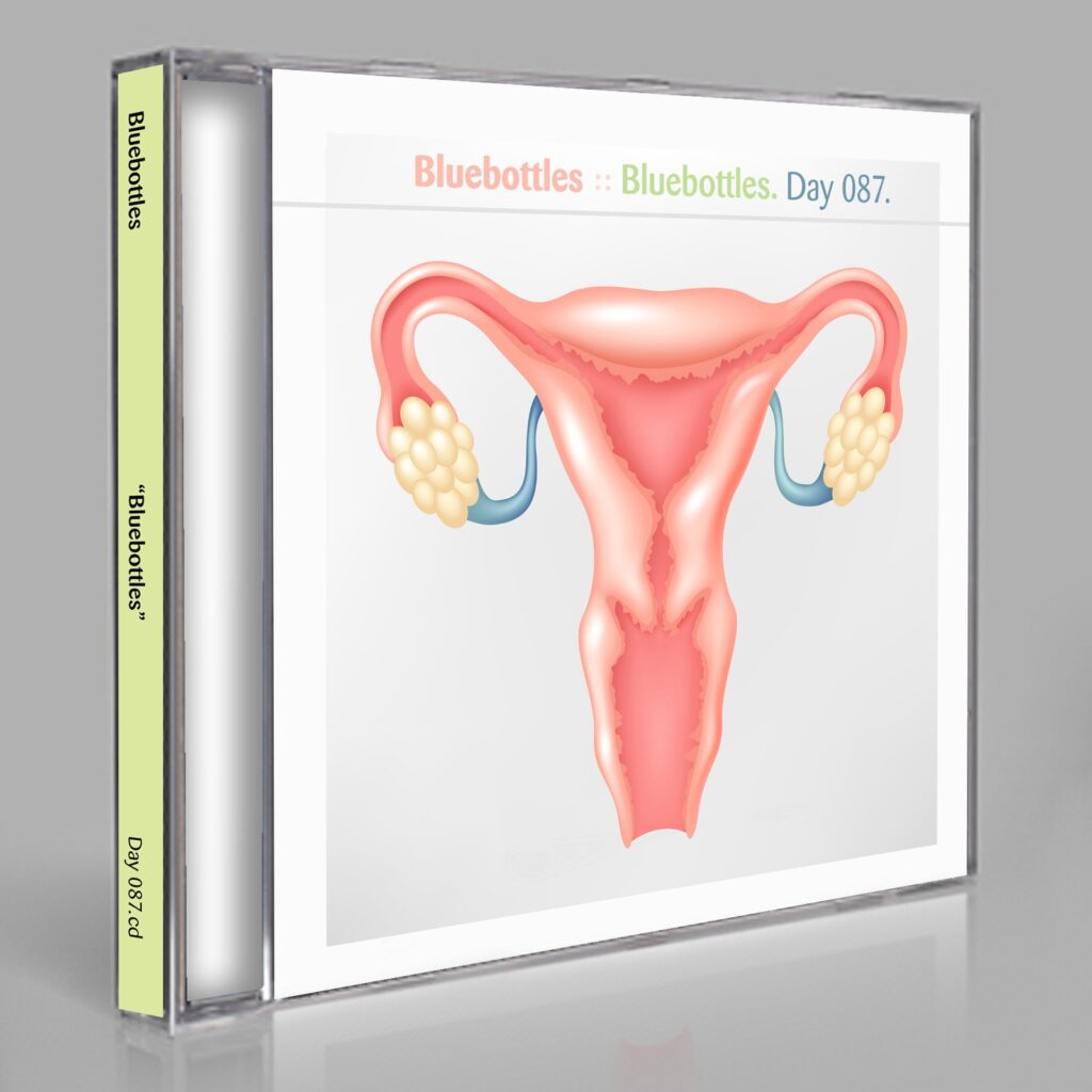 Bluebottles "Bluebottles" Day 087.cd / download