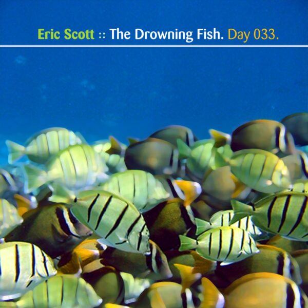 Eric Scott (Day For Night). “The Drowning Fish” Day 033.cd / download