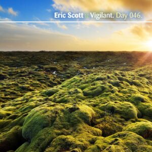 Eric Scott & The Everyday :: Vigilant [ Day 046 ]