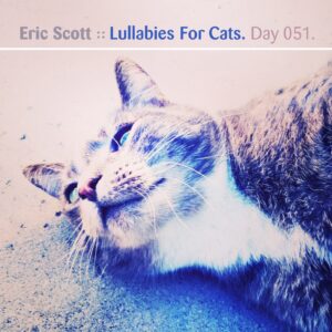 Eric Scott :: Lullabies For Cats [ Day 051 ]
